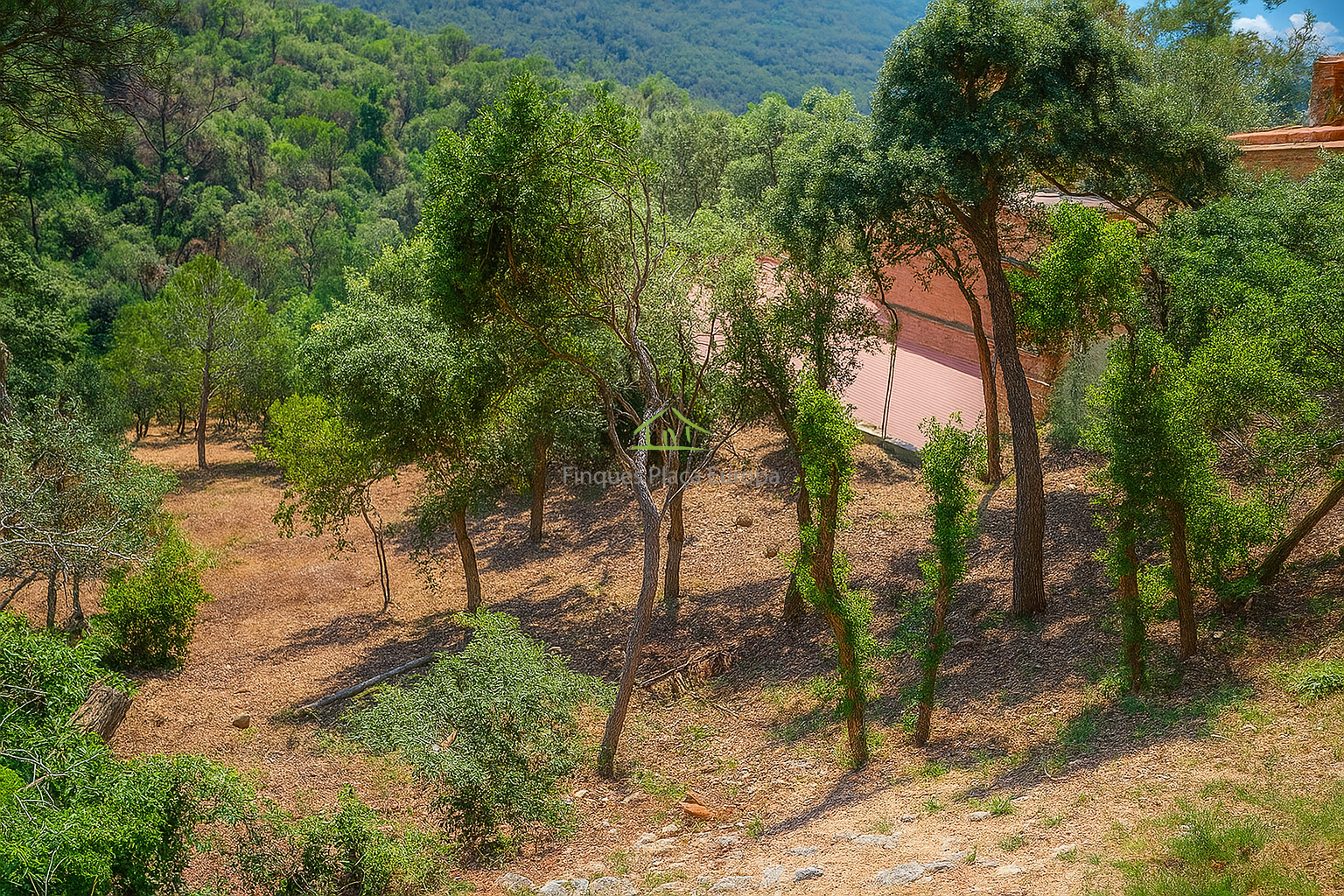 Venta de terreno en Santa Cristina D´aro