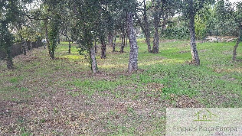 Venta de terreno en Santa Cristina D´aro