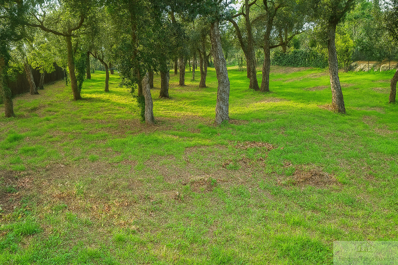 Продажа от

 Земельные участки на Santa Cristina D´aro