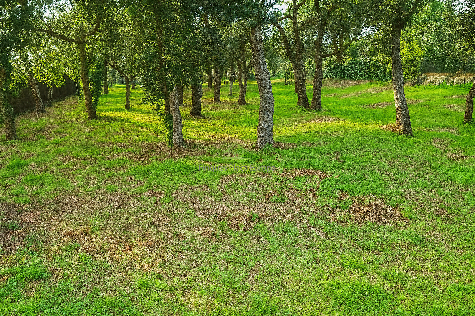 Venta de terreno en Santa Cristina D´aro Venta de terreno en Santa Cristina D´aro