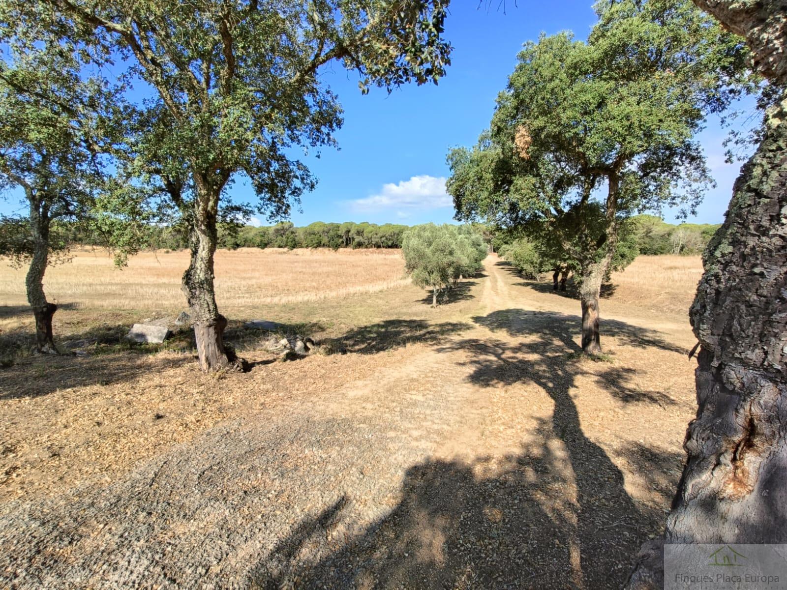 Venda de casa a Llagostera