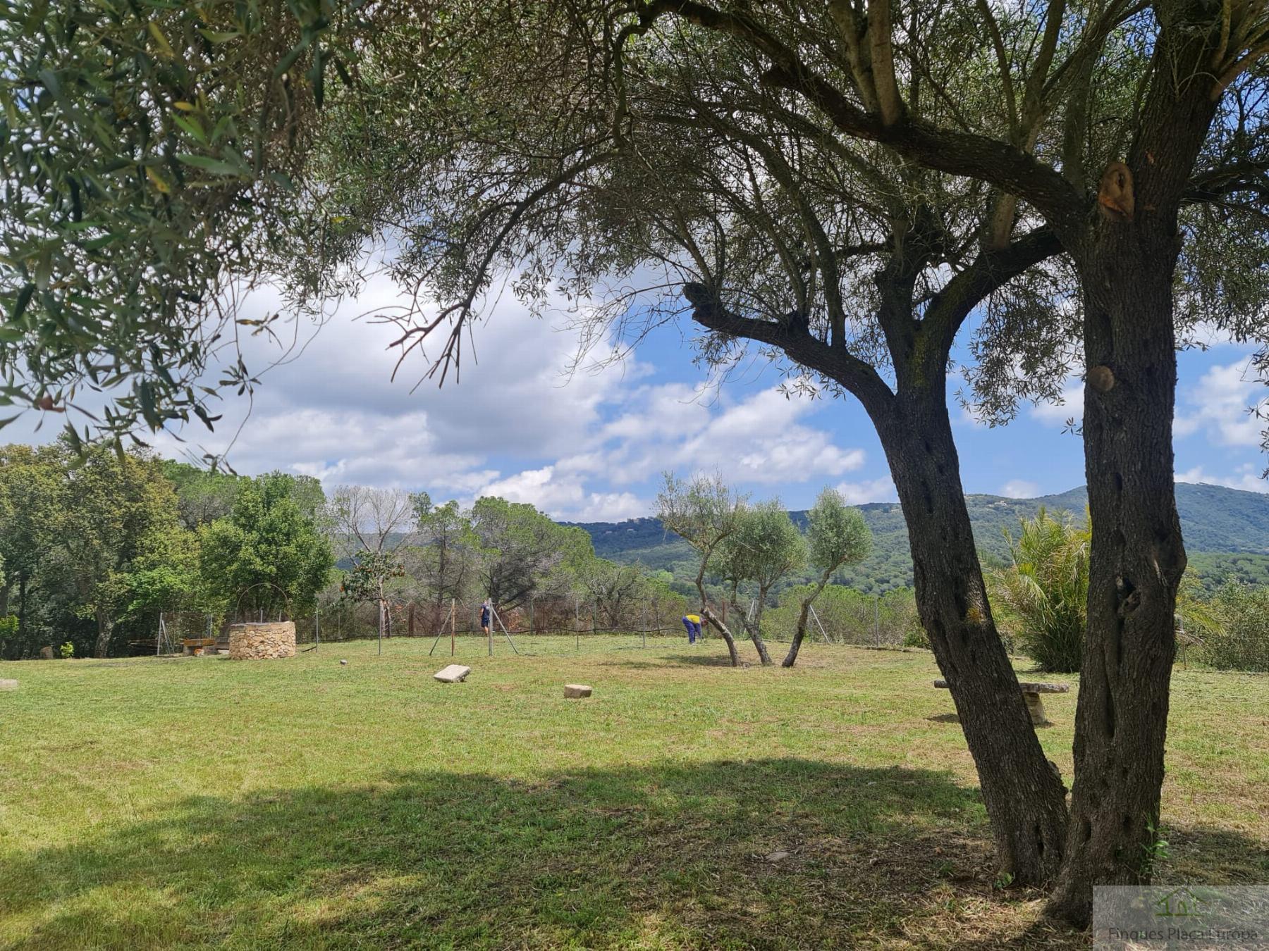 Venda de casa a Llagostera