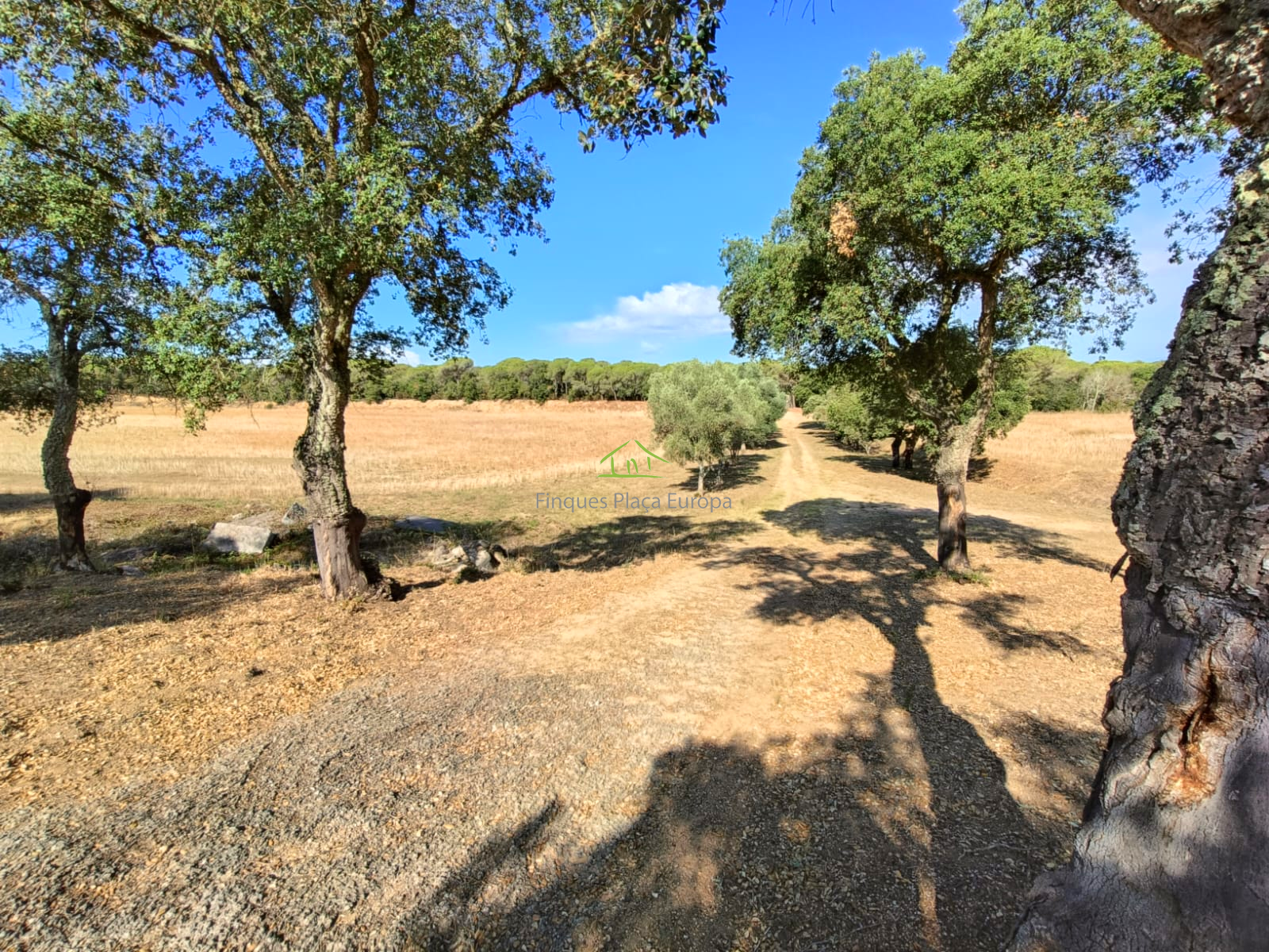 Vente de maison dans Llagostera