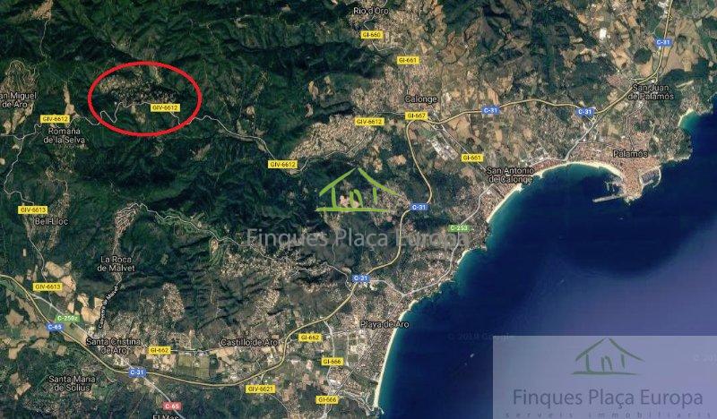 Vente de terrain dans Santa Cristina D´aro