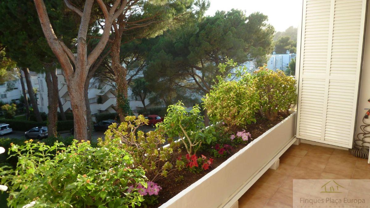 Terraza Terraza