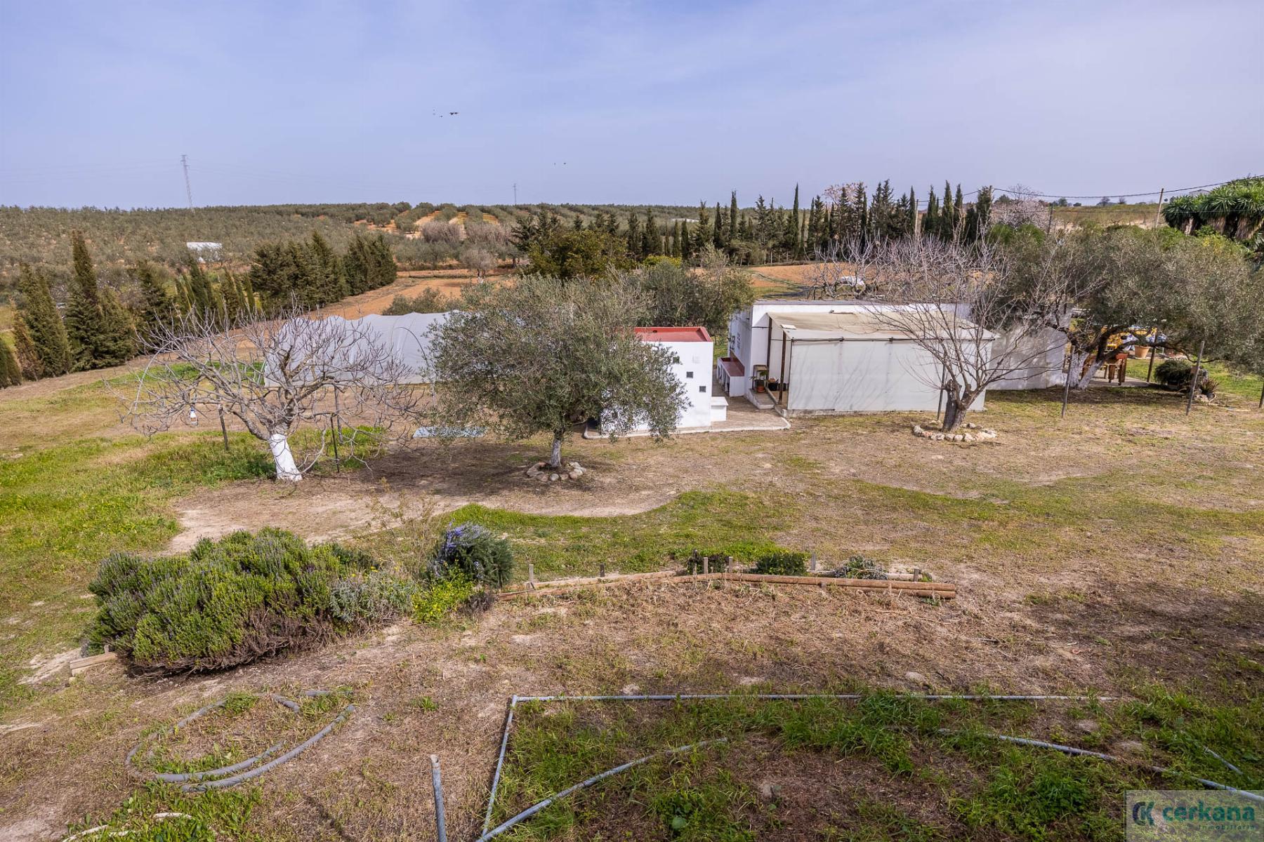For sale of rural property in Sanlúcar la Mayor
