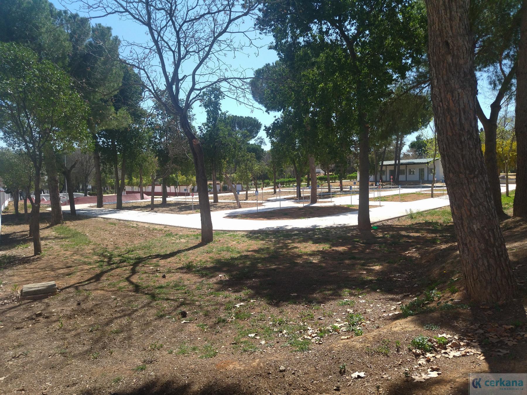 For sale of flat in Pilas