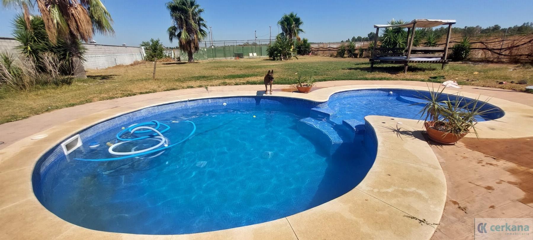 For sale of chalet in Dos Hermanas