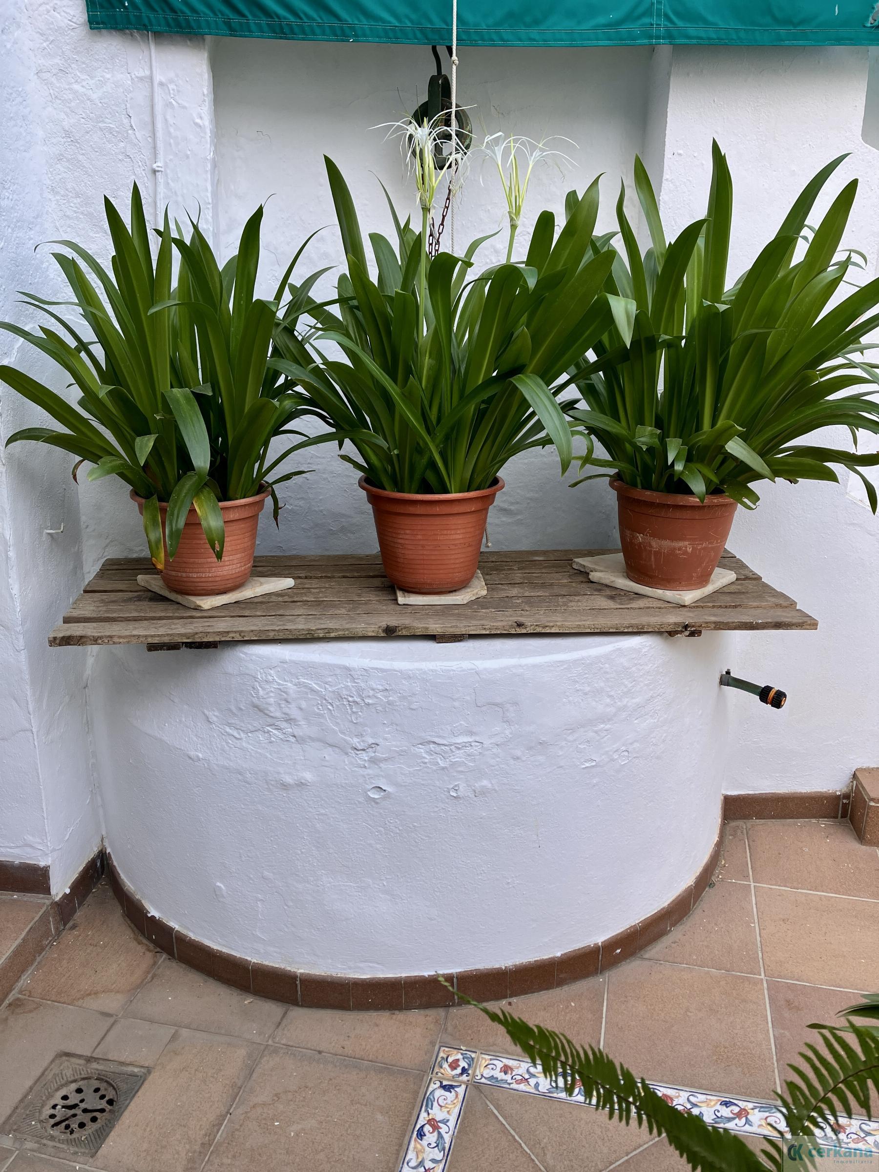 For sale of house in Espartinas