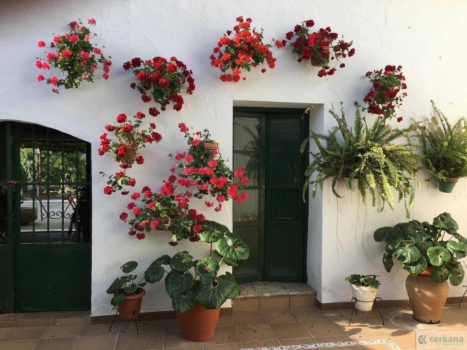 For sale of house in Espartinas