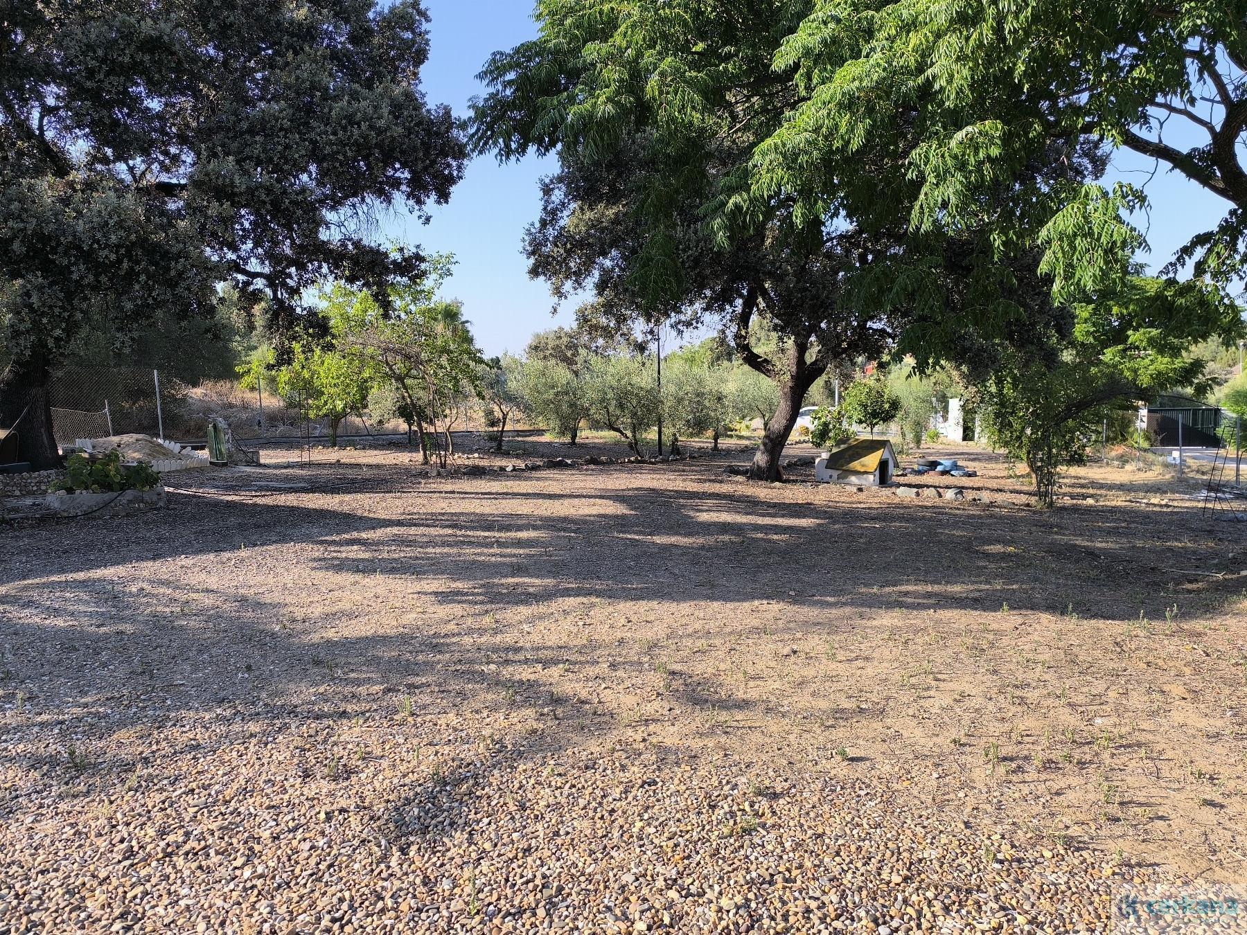 For sale of chalet in Sanlúcar la Mayor