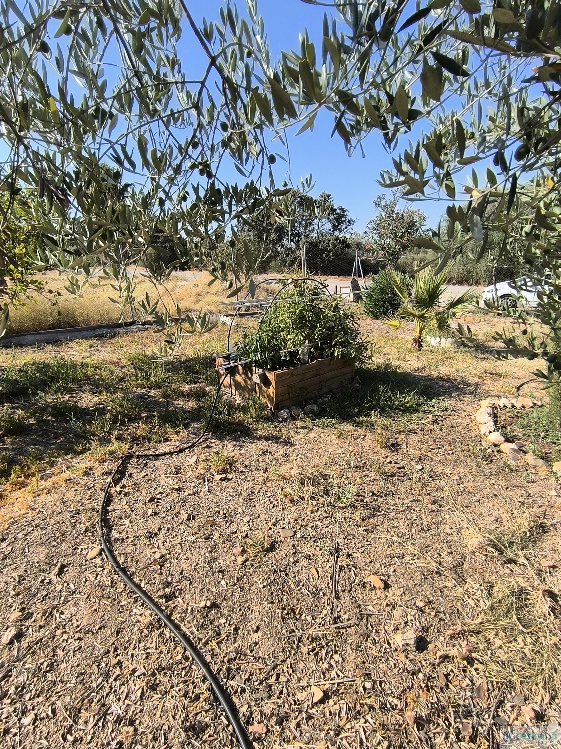 For sale of chalet in Sanlúcar la Mayor