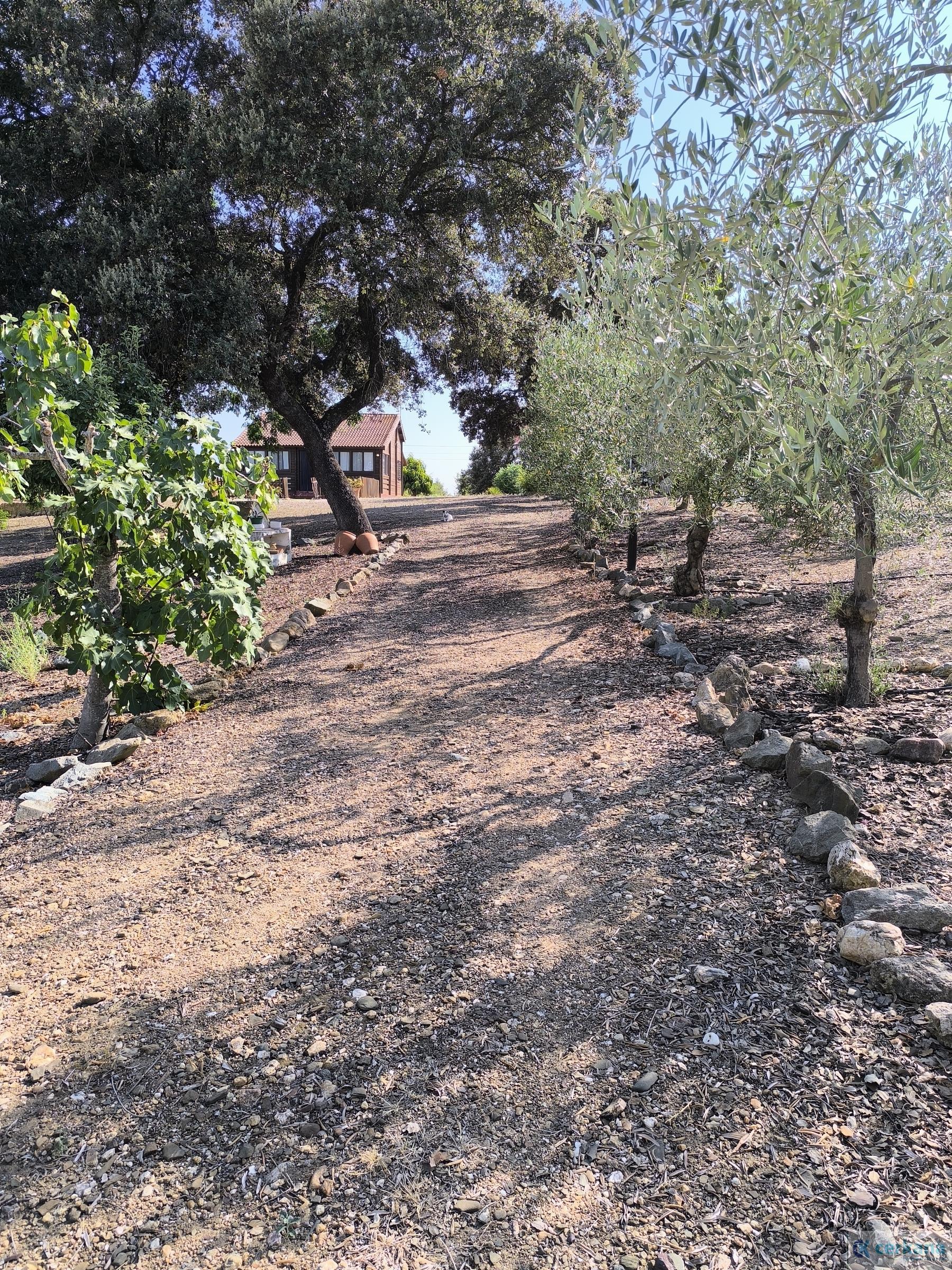 For sale of chalet in Sanlúcar la Mayor