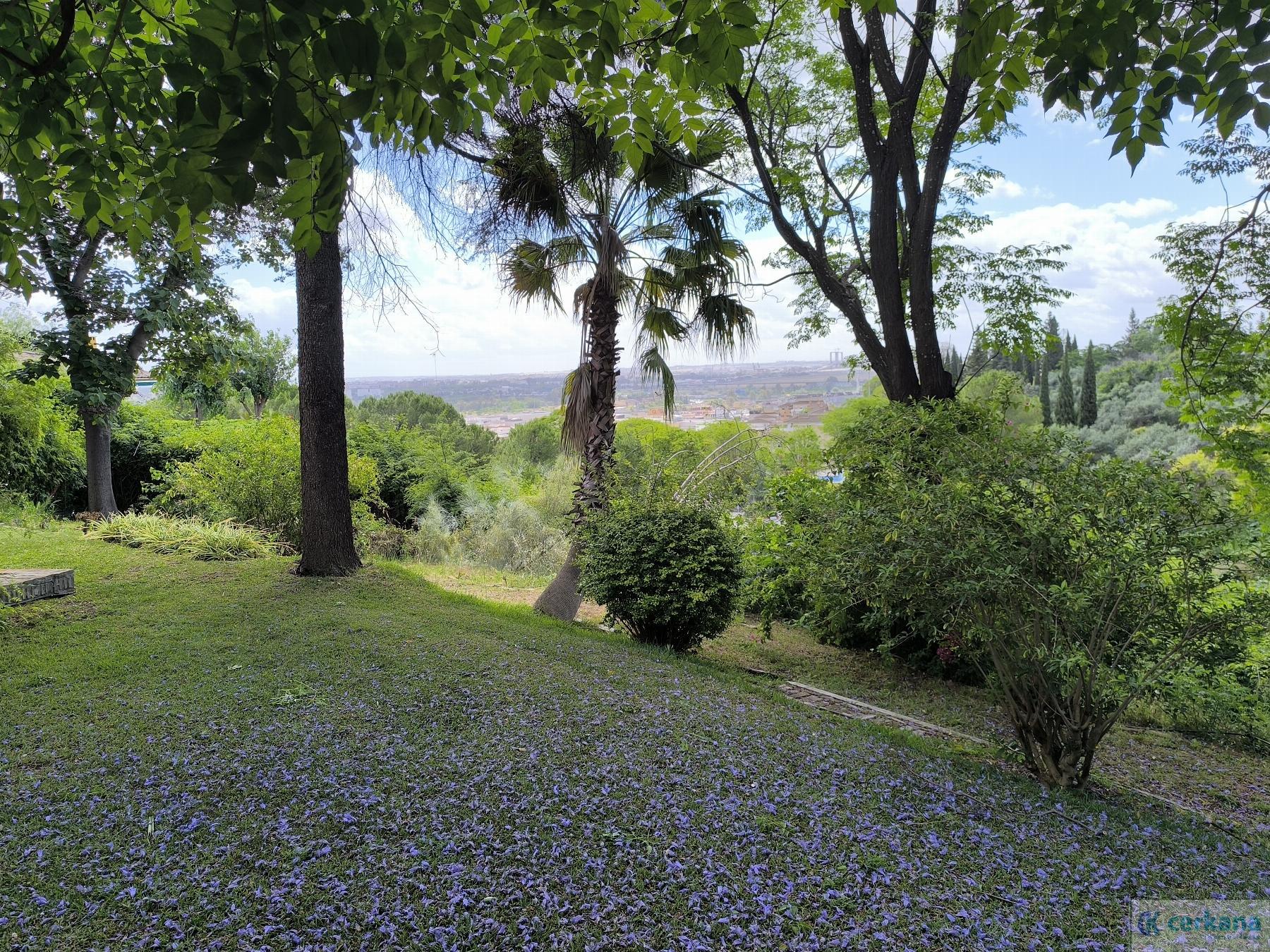 Venta de chalet en Tomares