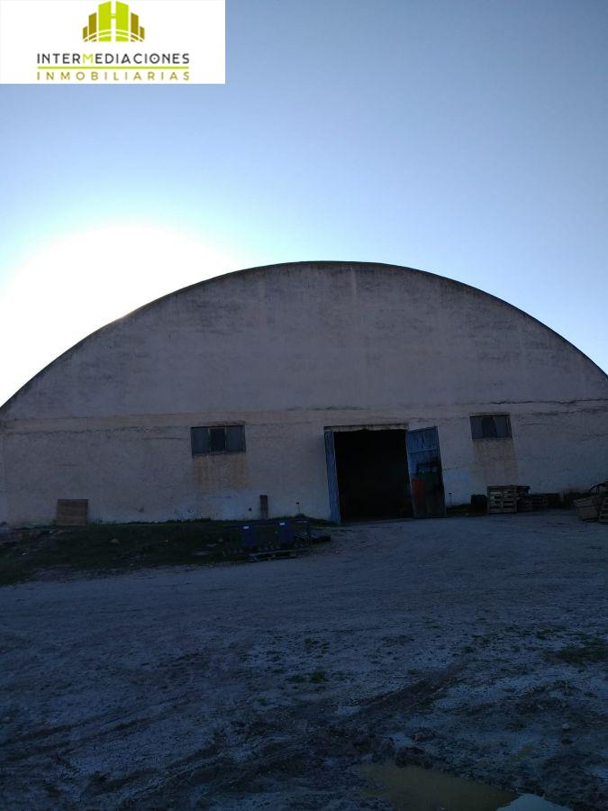 Alquiler de nave industrial en Casas de Juan Núñez