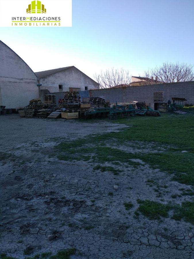 For rent of industrial plant/warehouse in Casas de Juan Núñez