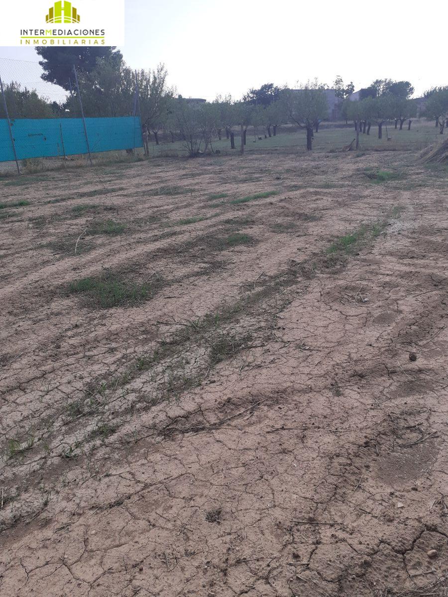 Venta de finca rústica en Albacete