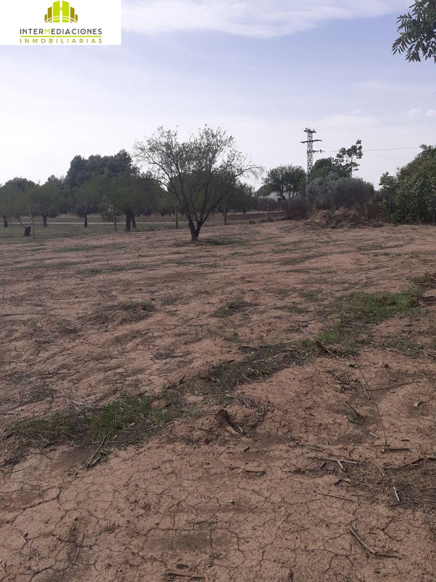 Venta de finca rústica en Albacete