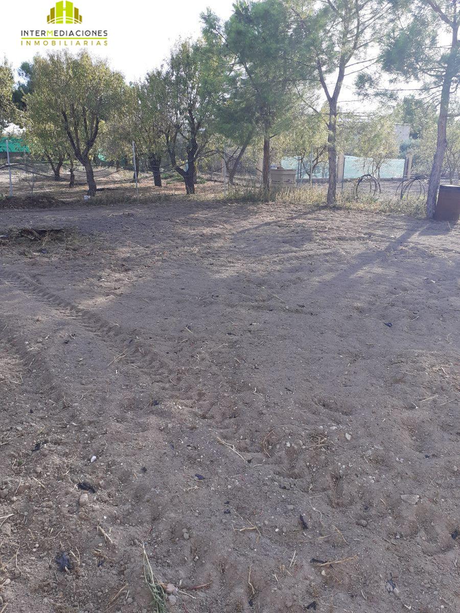 Venta de finca rústica en Albacete