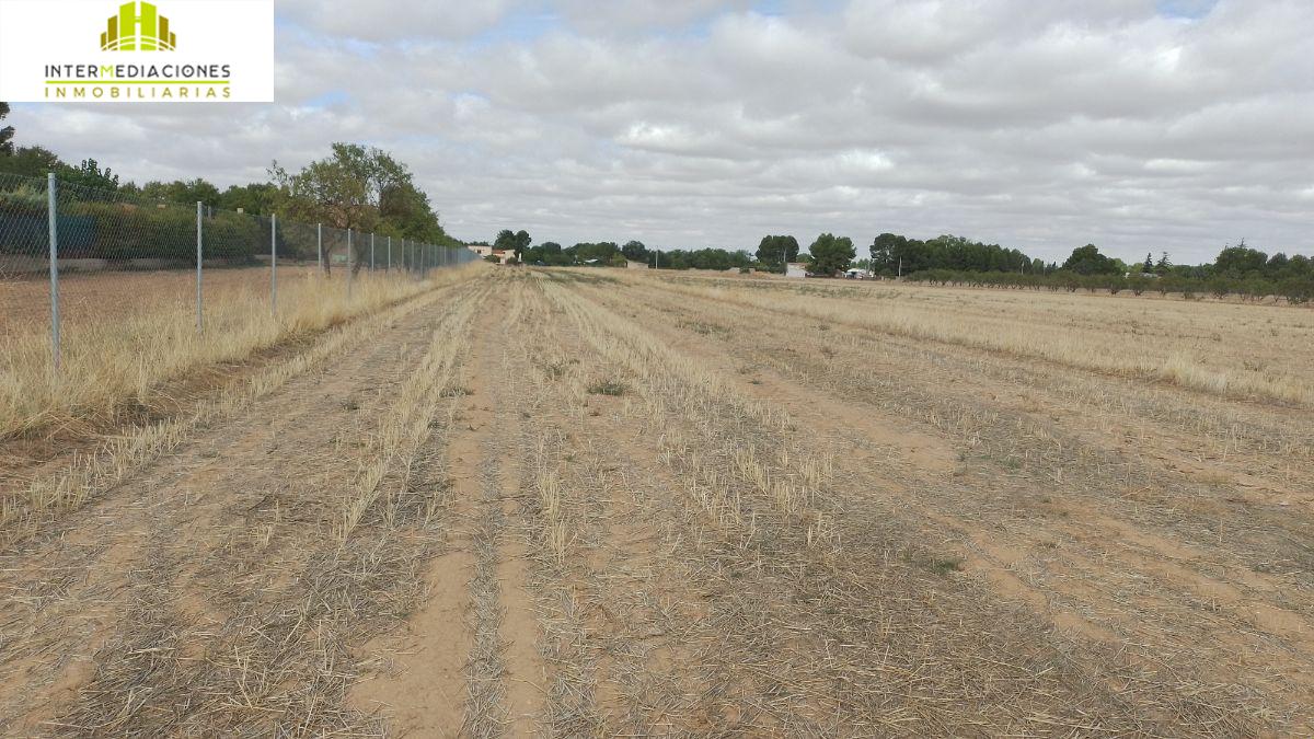 For sale of land in Albacete