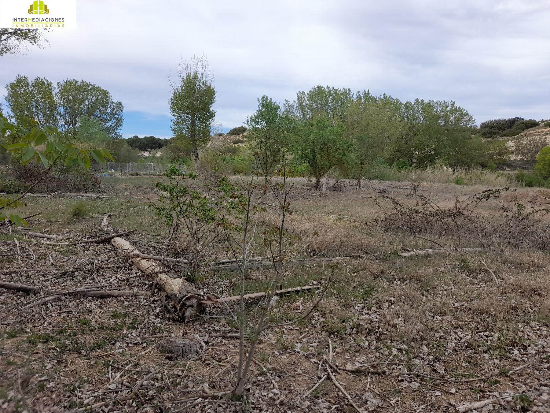 Finca en venta en Carretera bormate, Valdeganga