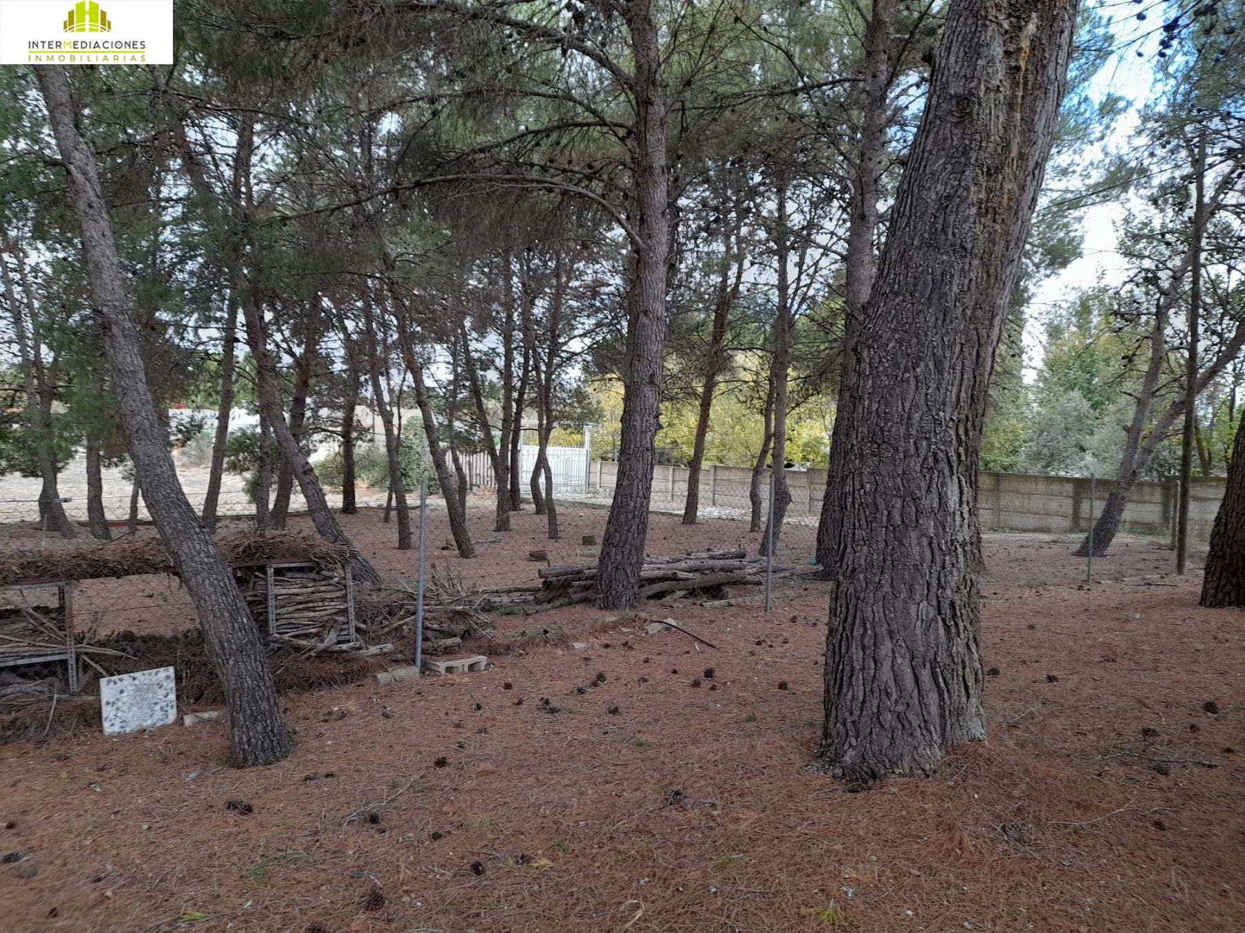 For sale of rural property in Albacete