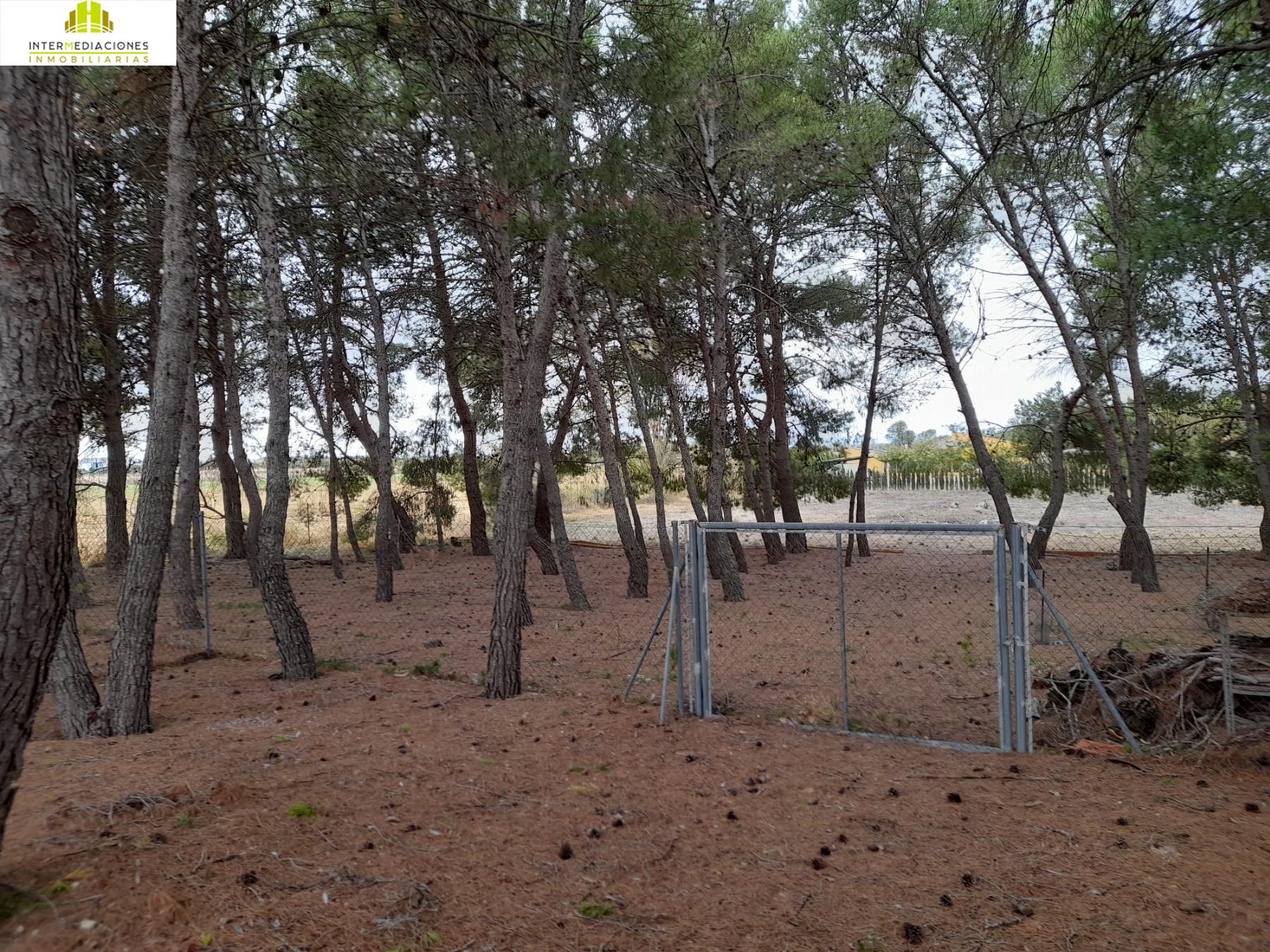 For sale of rural property in Albacete