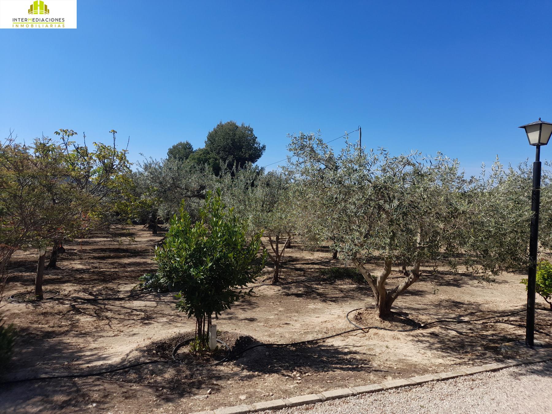 For sale of chalet in Tobarra
