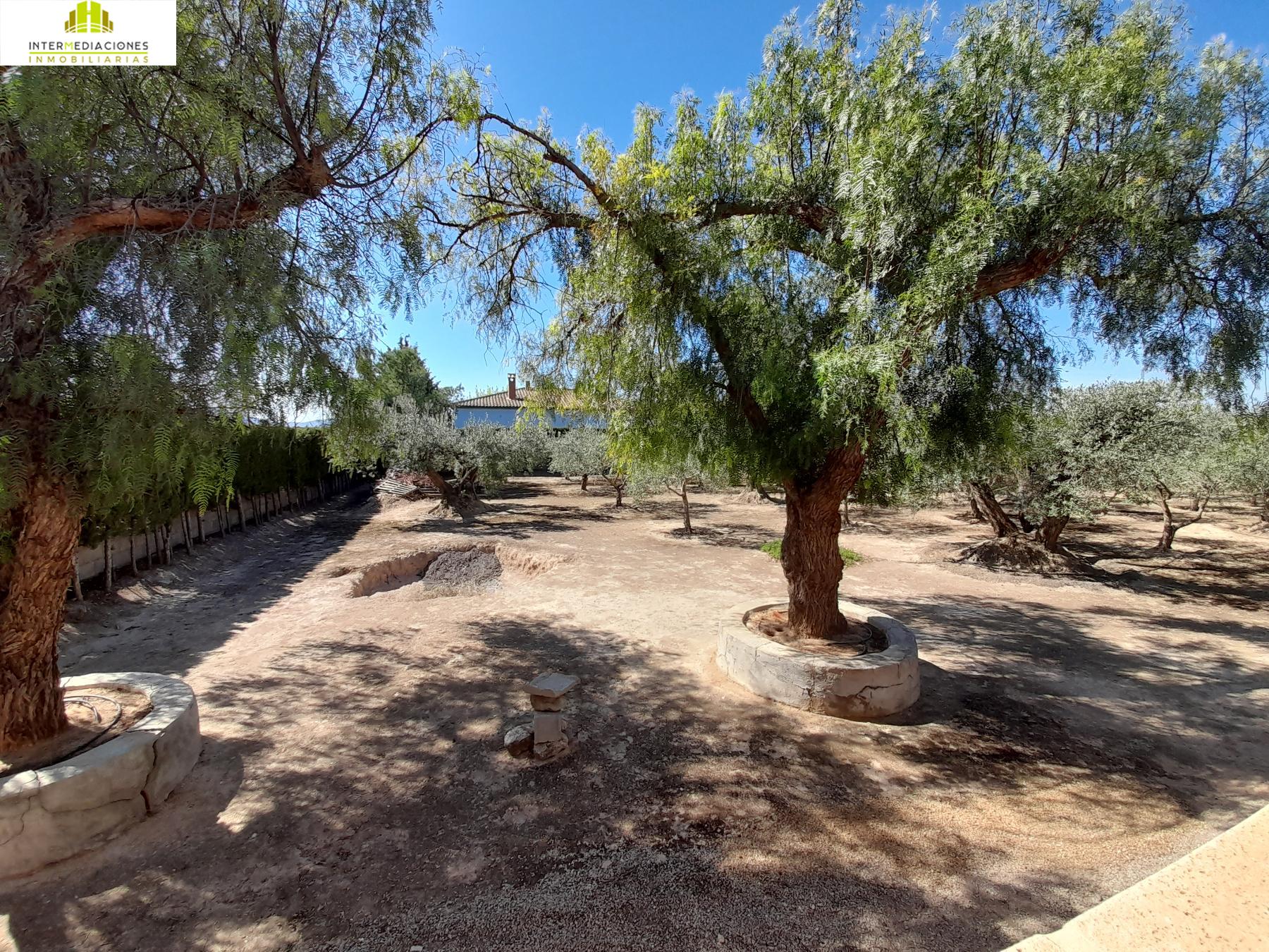 For sale of chalet in Tobarra