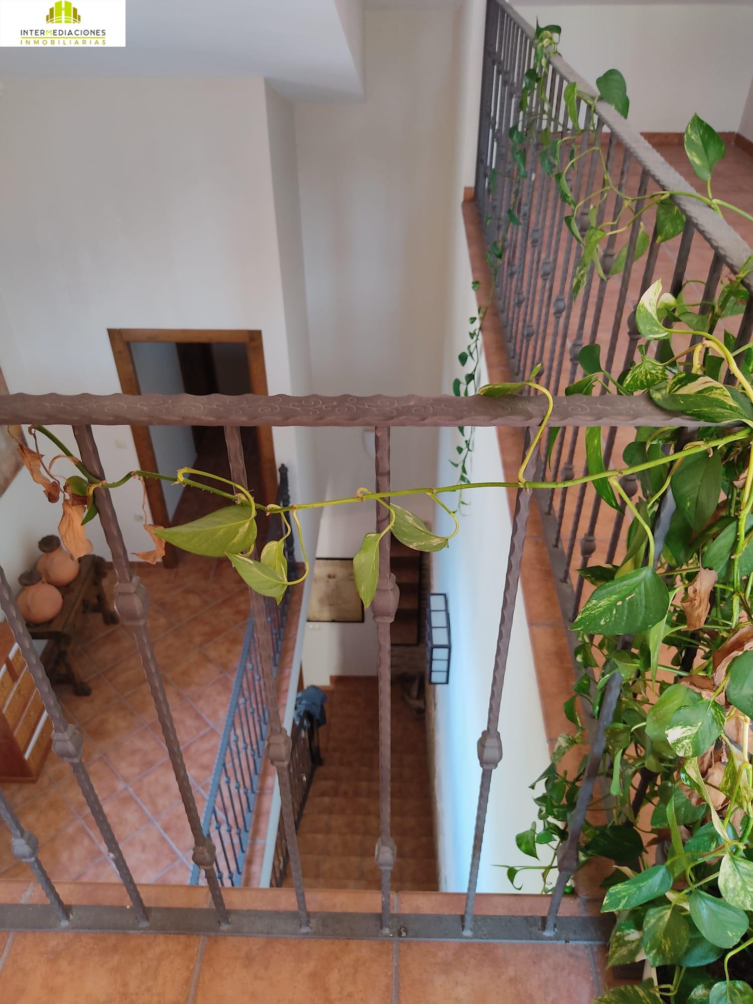 For sale of chalet in Albacete