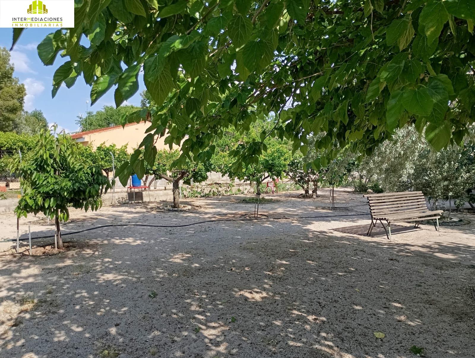 For sale of land in Albacete