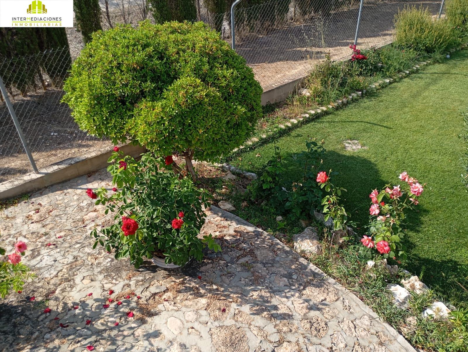 For sale of land in Albacete