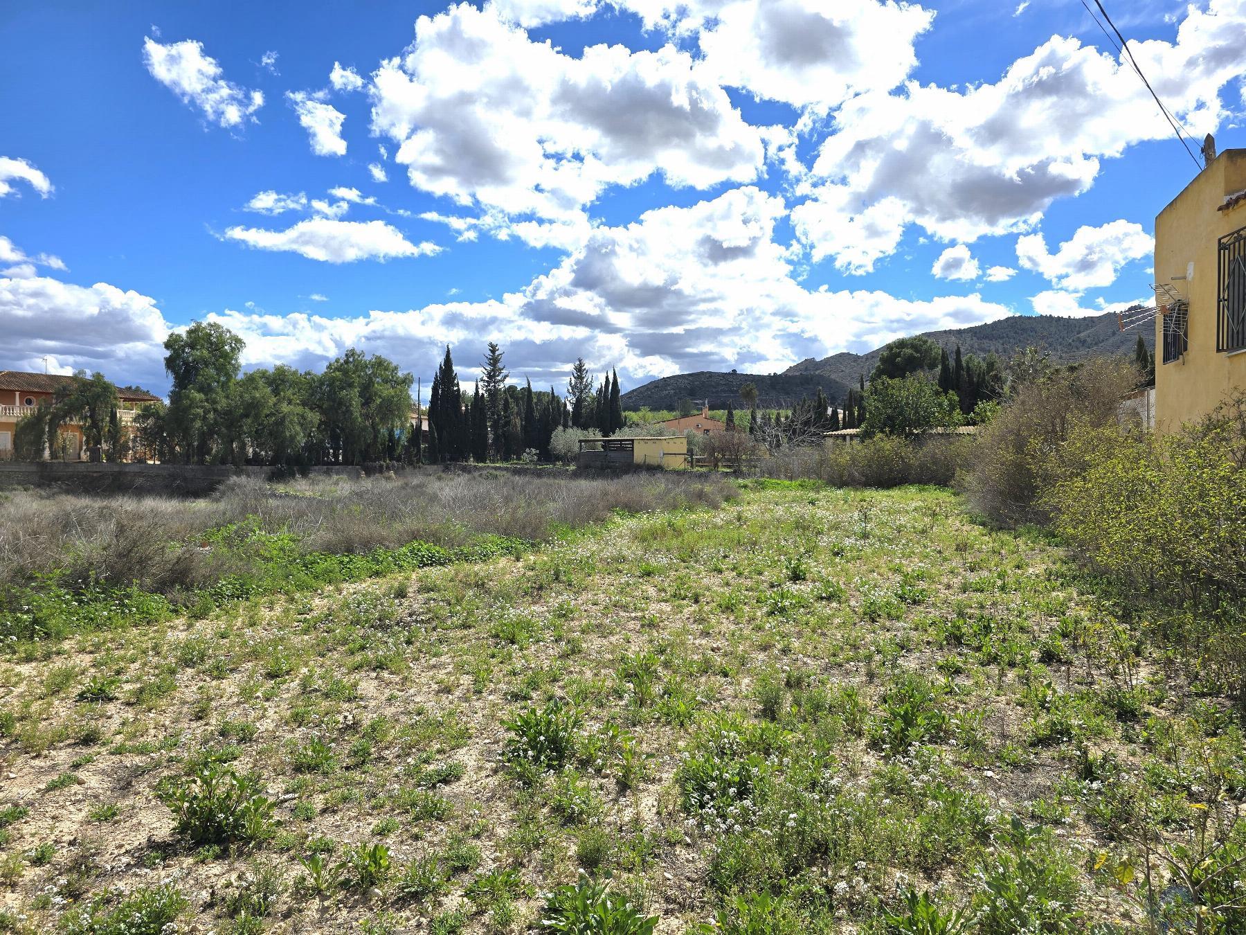 Venta de chalet en Monóvar-Monòver