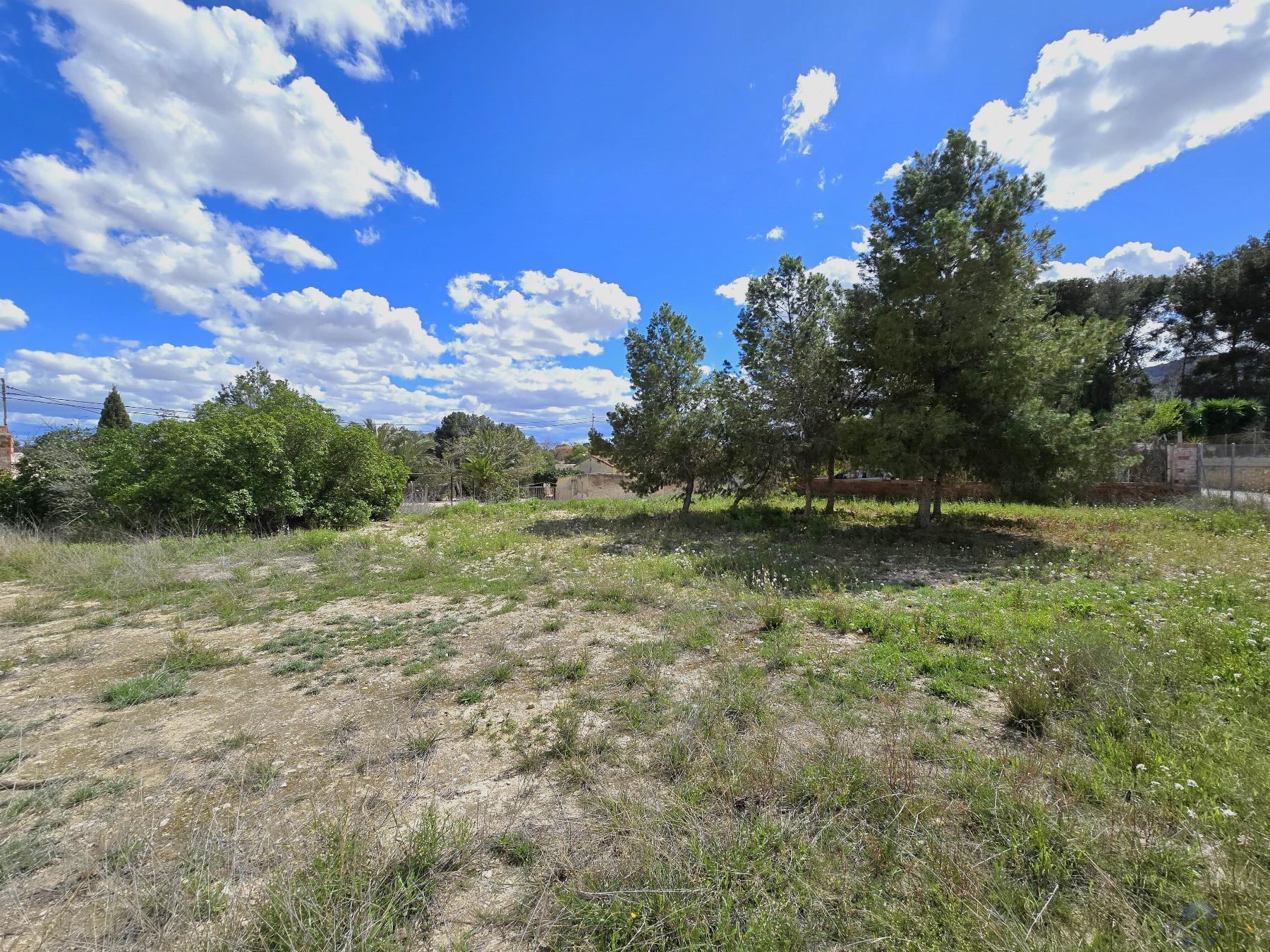Venta de chalet en Monóvar-Monòver