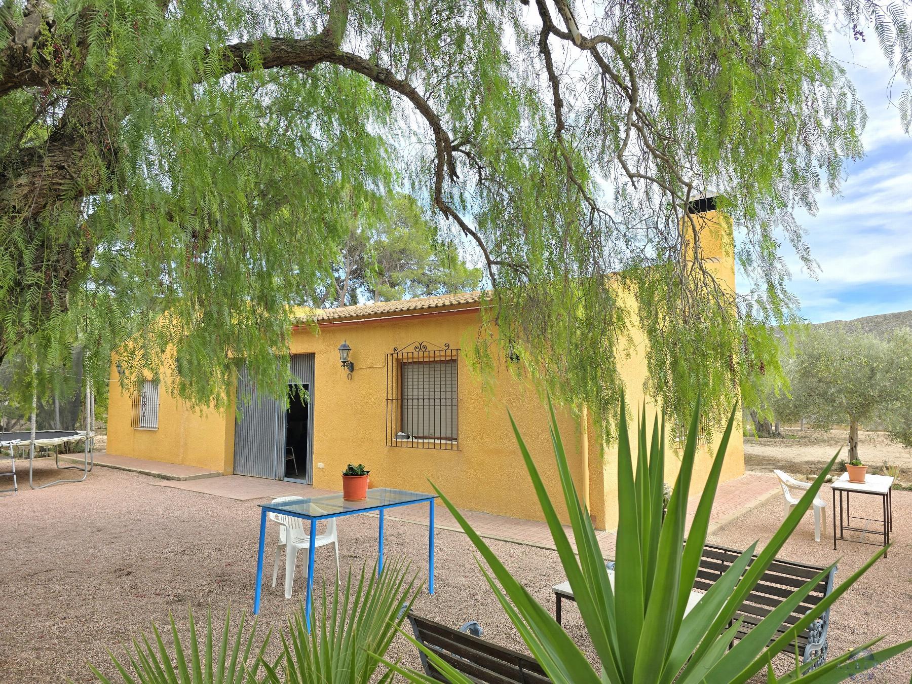 Venta de chalet en Elda