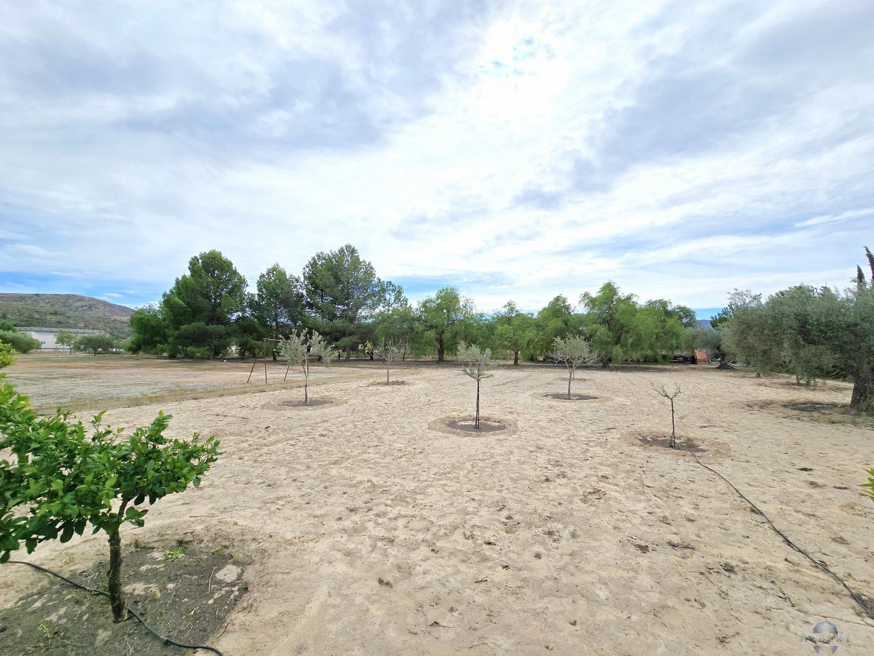 Venta de chalet en Elda