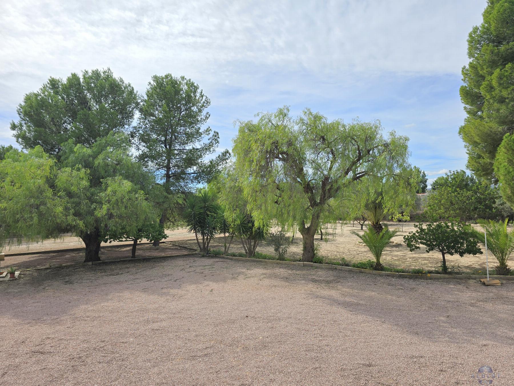 Venta de chalet en Elda