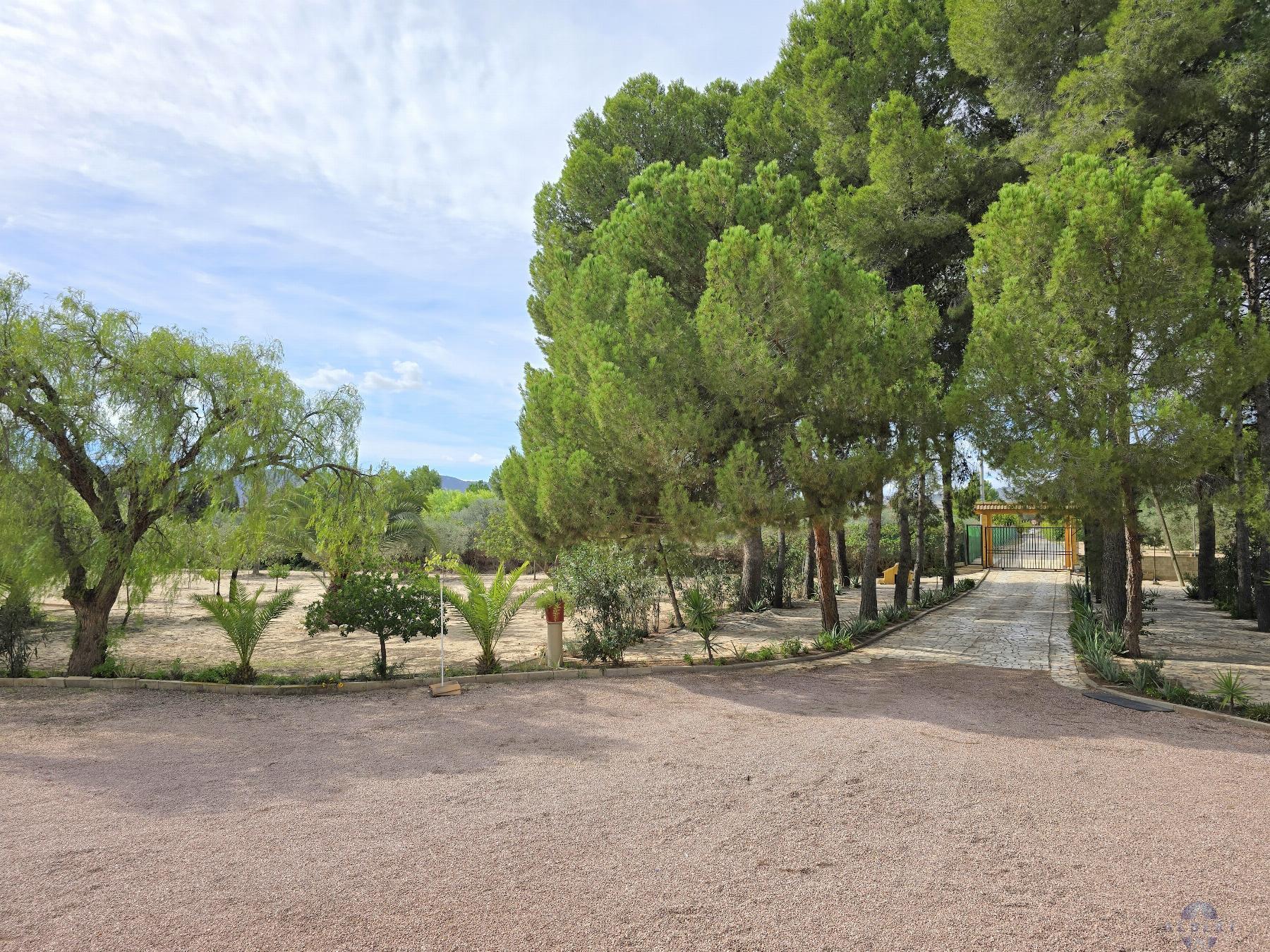 Venta de chalet en Elda