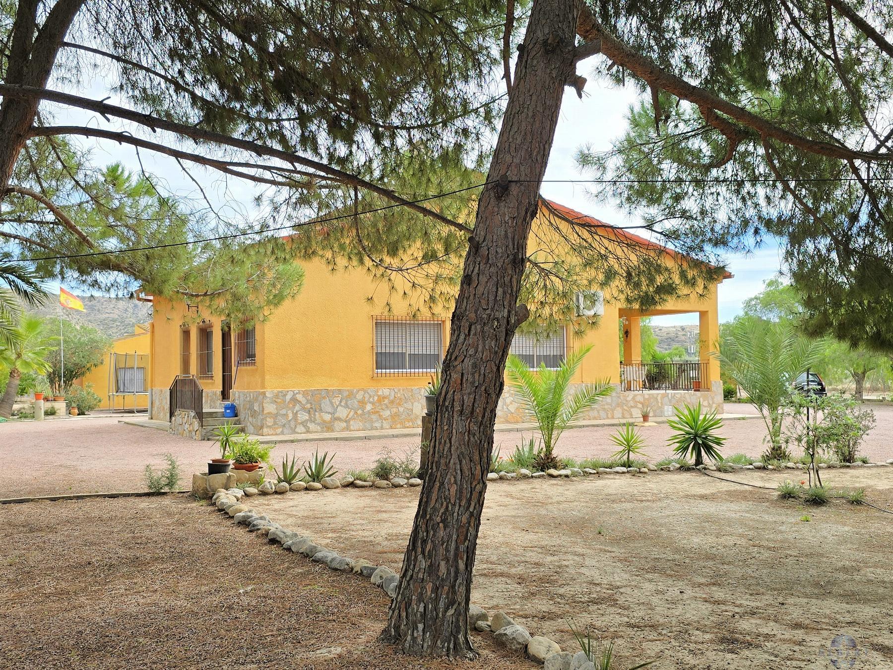 Venta de chalet en Elda