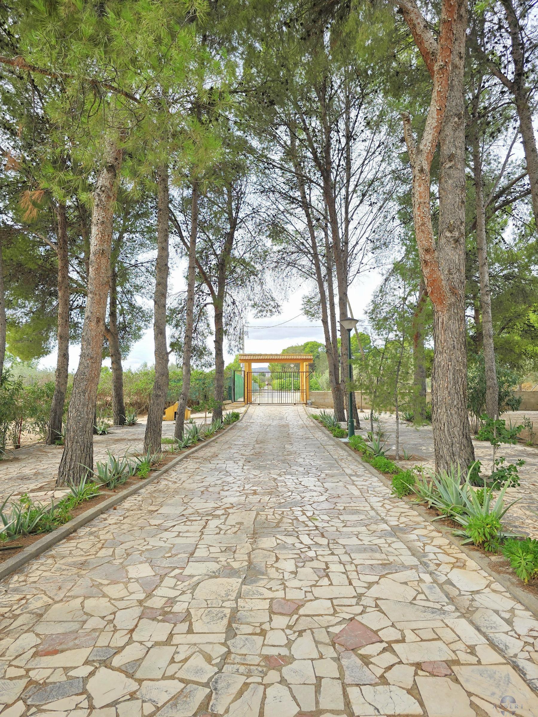 Venta de chalet en Elda