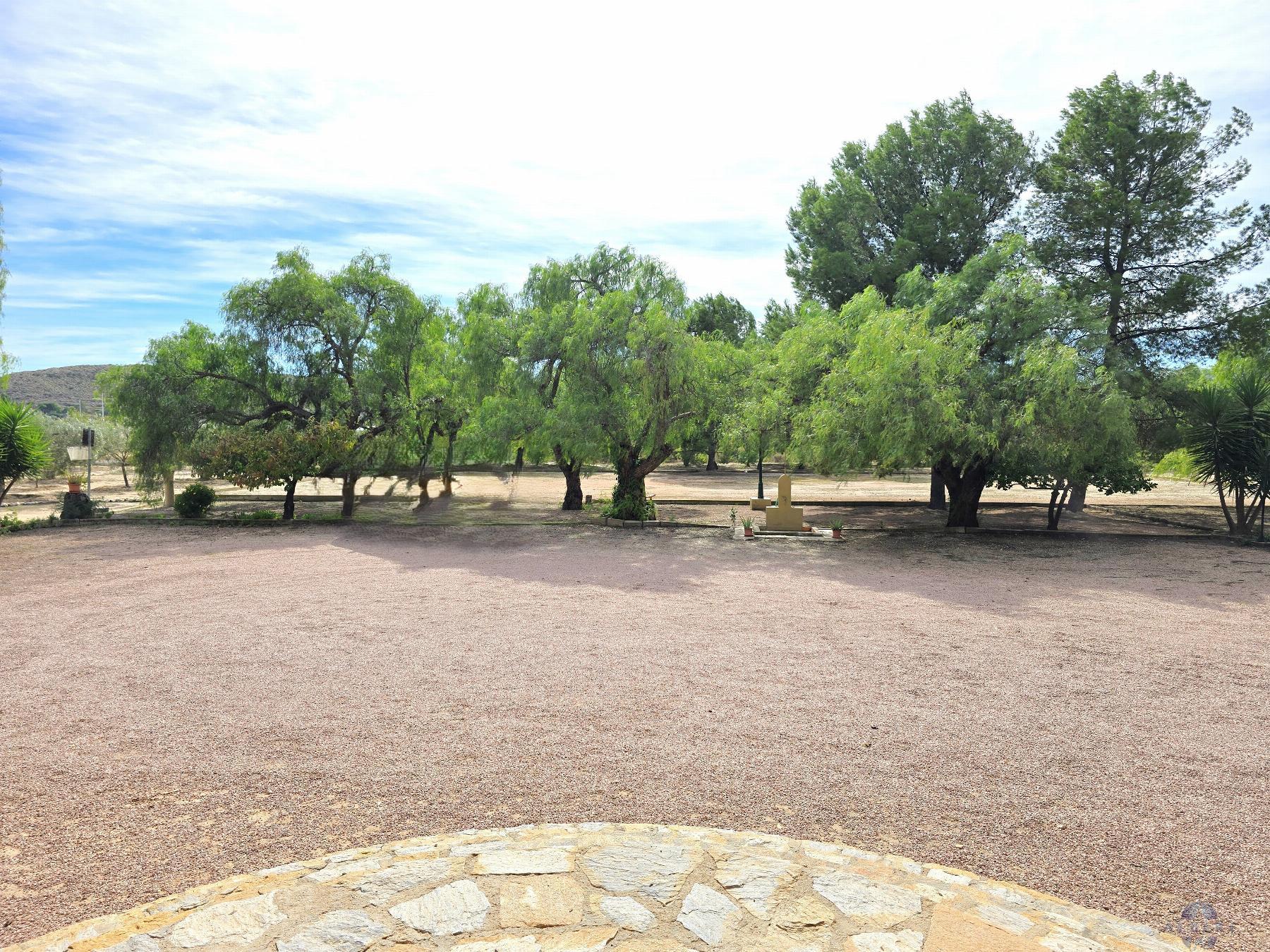 Venta de chalet en Elda