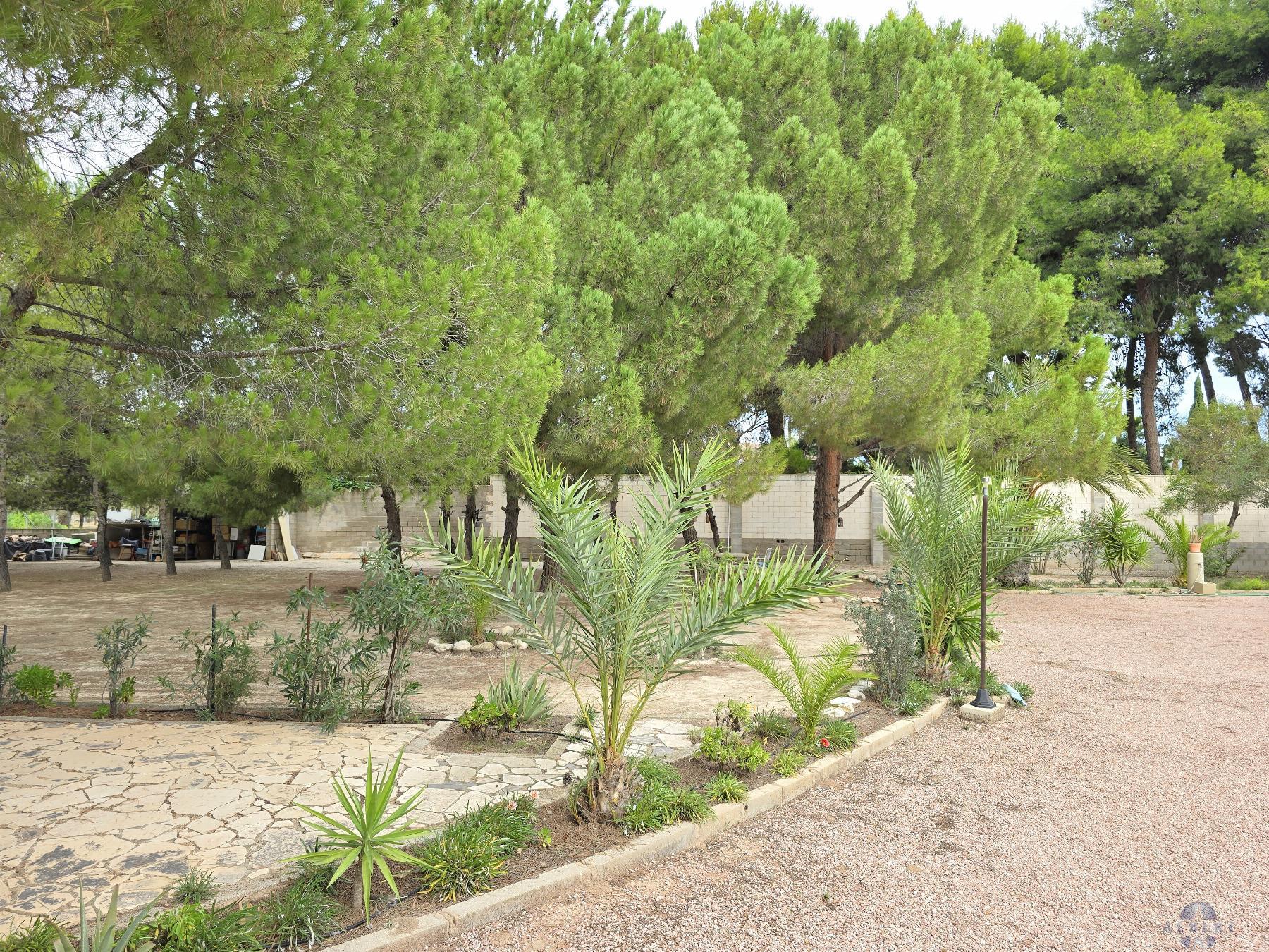 Venta de chalet en Elda