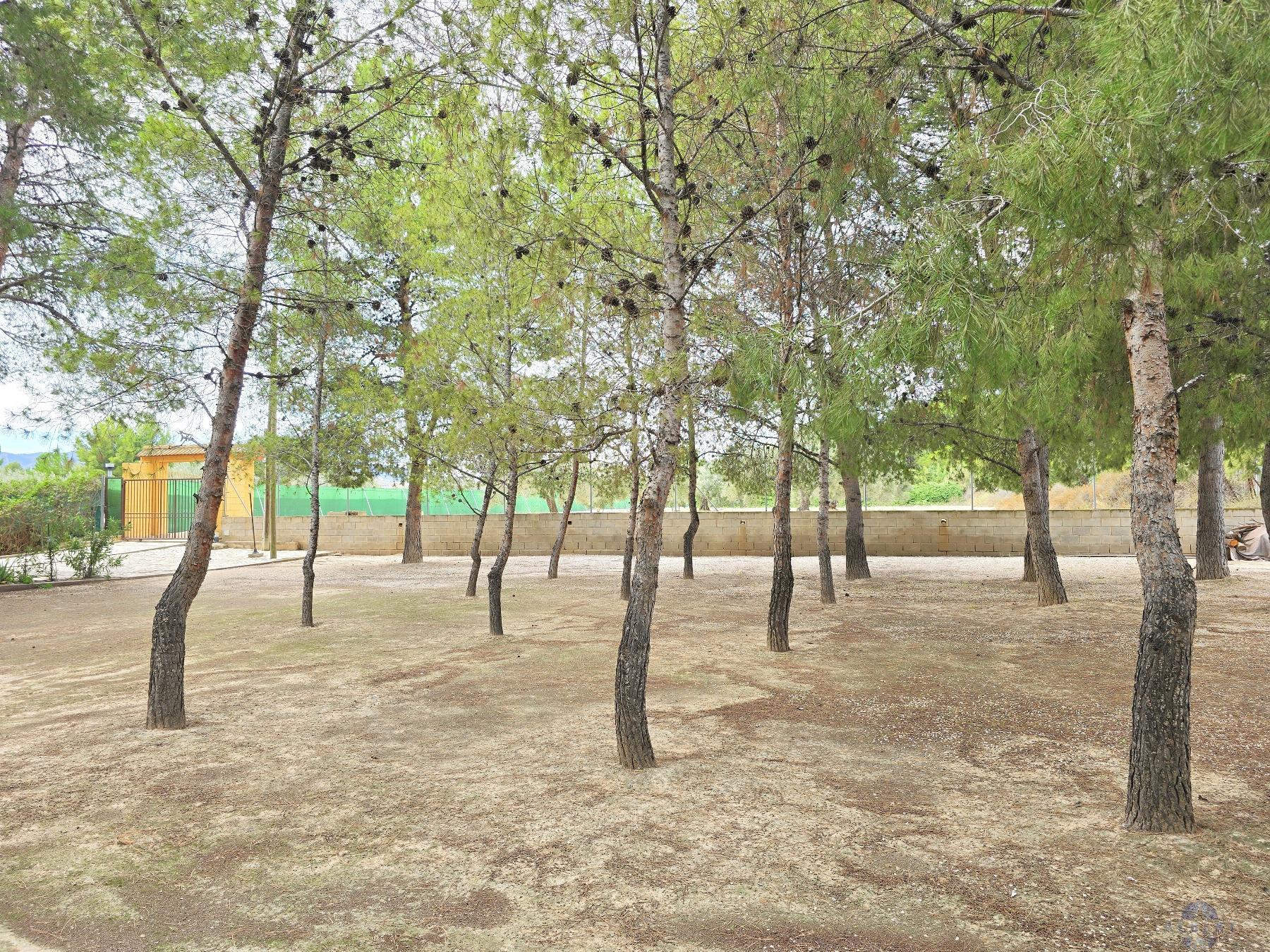 Venta de chalet en Elda