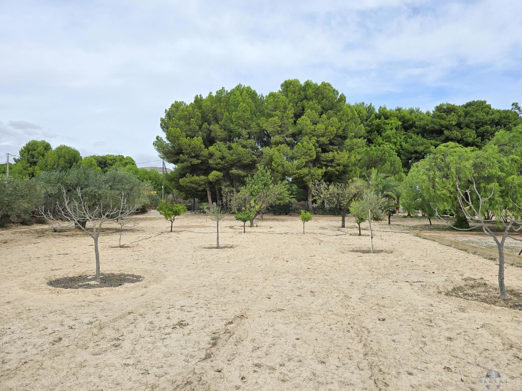 Venta de chalet en Elda