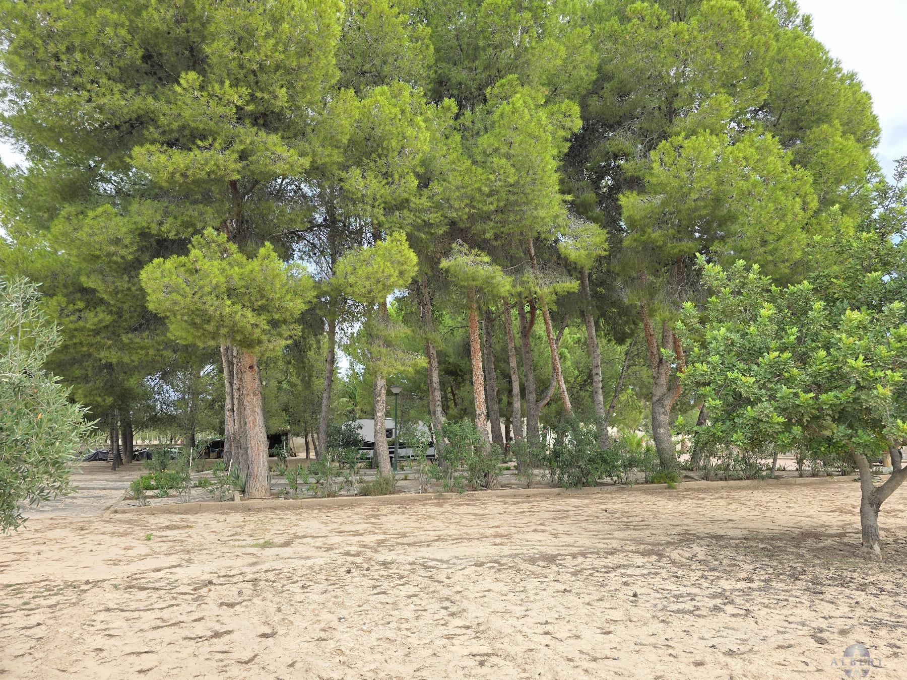 Venta de chalet en Elda