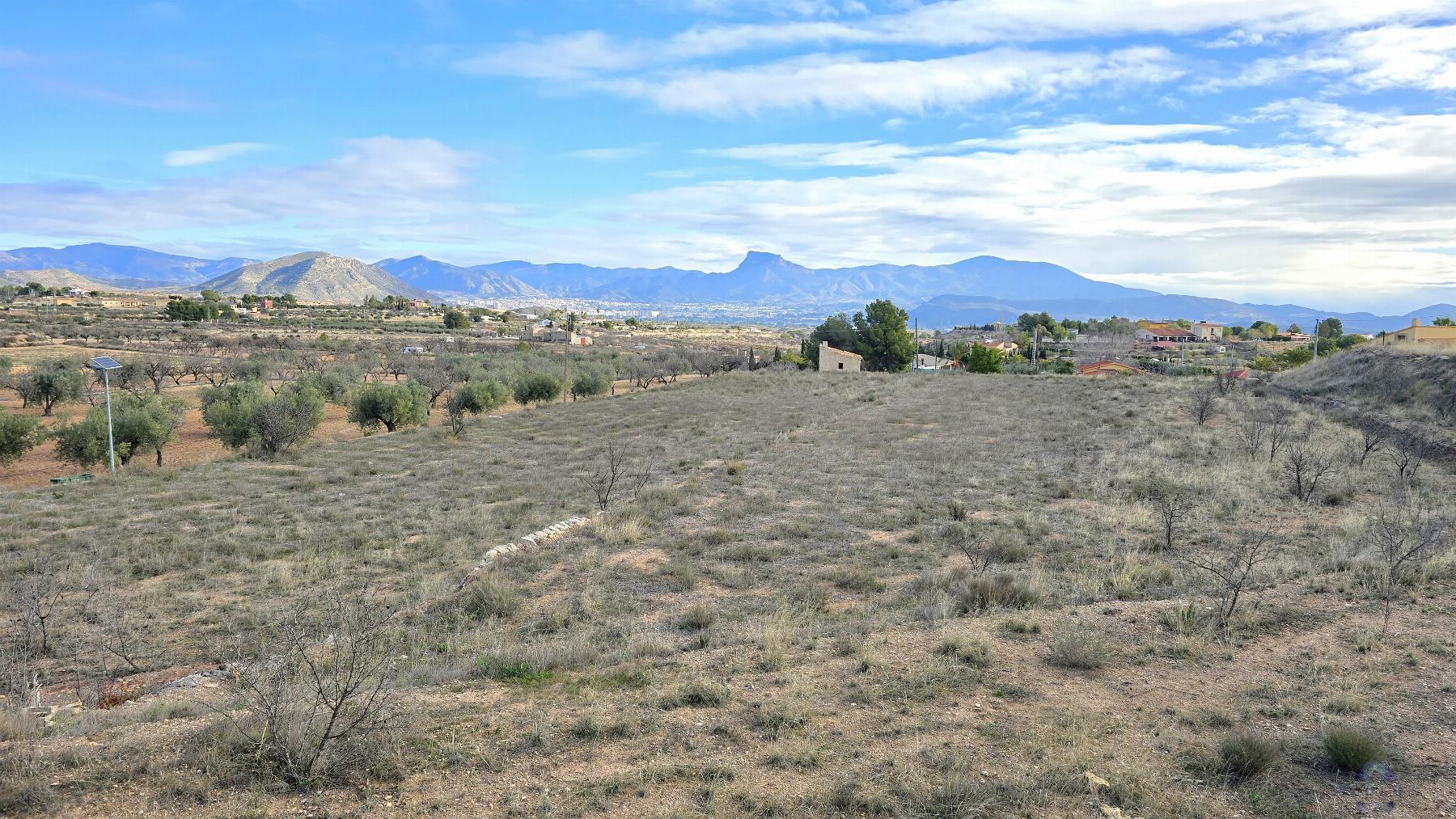 Venta de terreno en Monóvar-Monòver