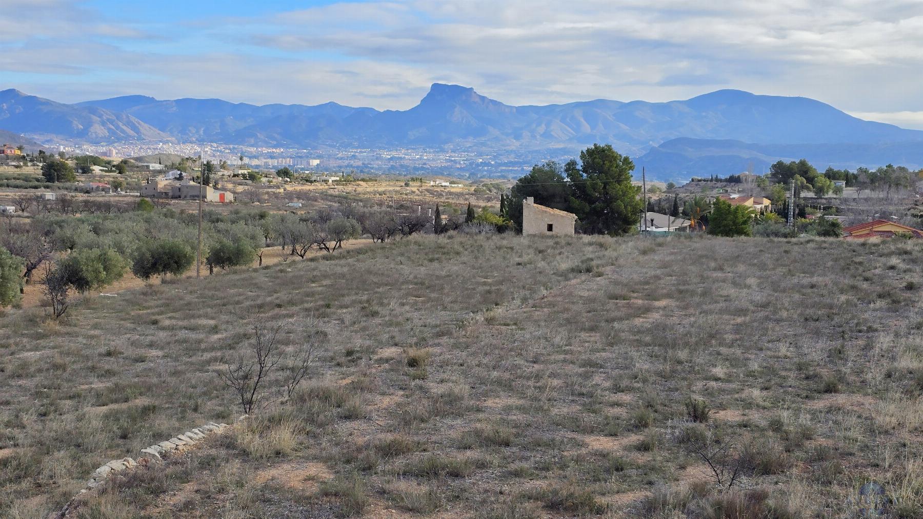 Venta de terreno en Monóvar-Monòver