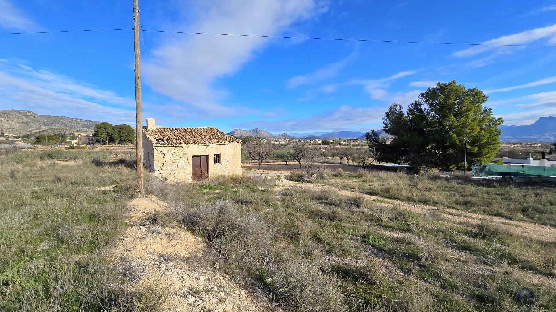 Venta de terreno en Monóvar-Monòver