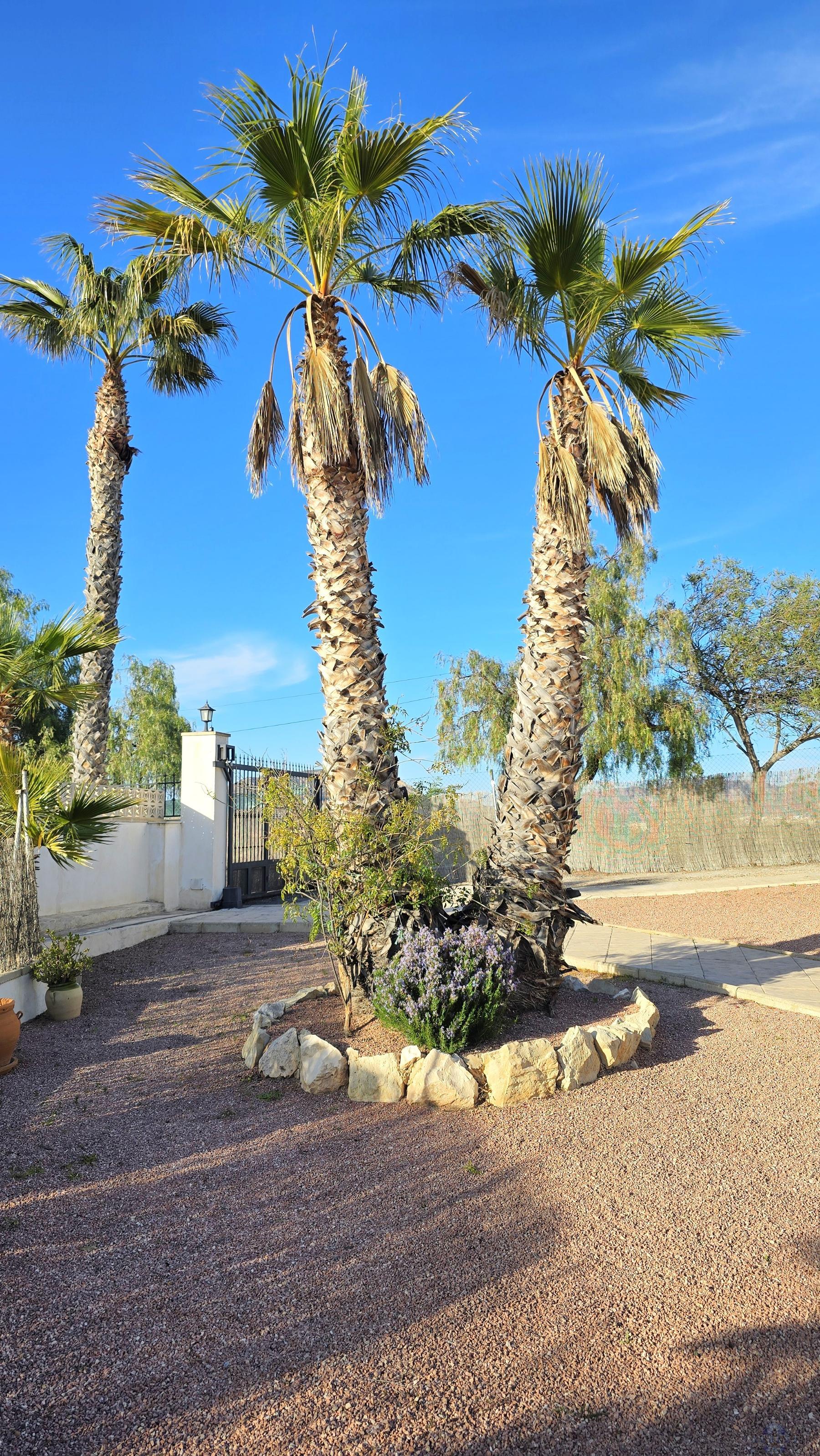 Venta de chalet en Monóvar-Monòver