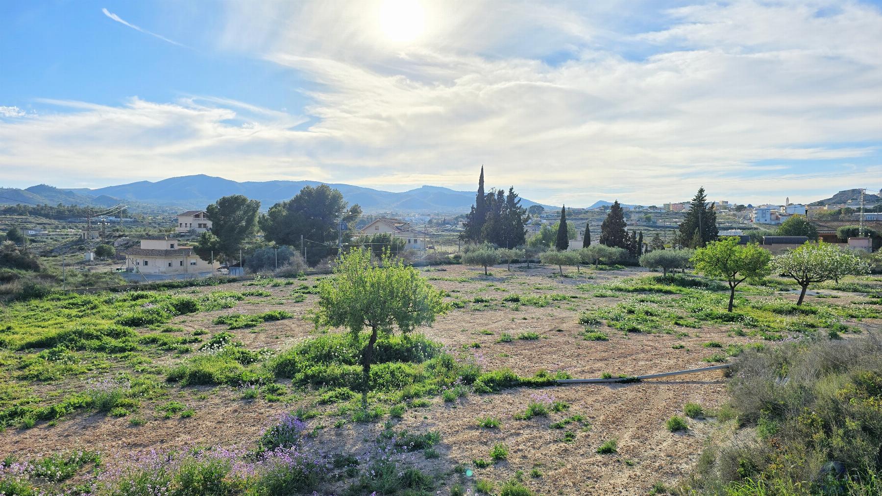 Venta de chalet en Monóvar-Monòver